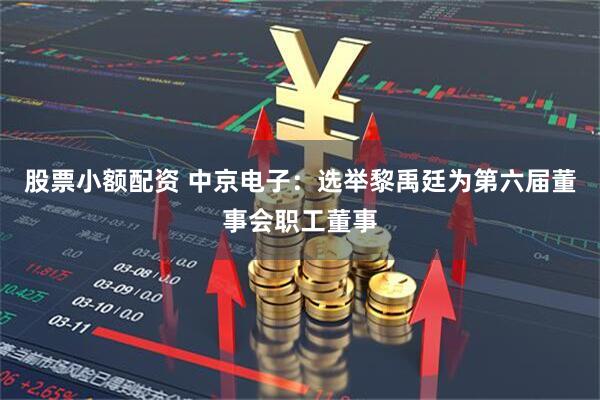 股票小额配资 中京电子：选举黎禹廷为第六届董事会职工董事