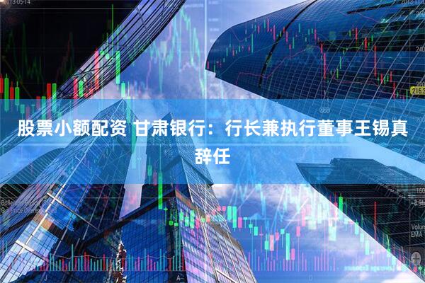 股票小额配资 甘肃银行：行长兼执行董事王锡真辞任