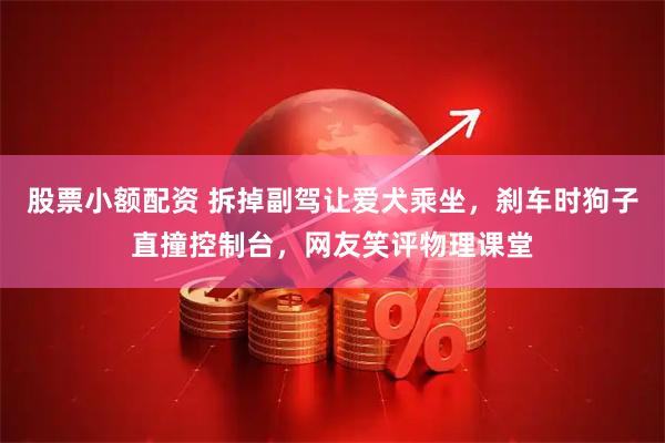 股票小额配资 拆掉副驾让爱犬乘坐，刹车时狗子直撞控制台，网友笑评物理课堂